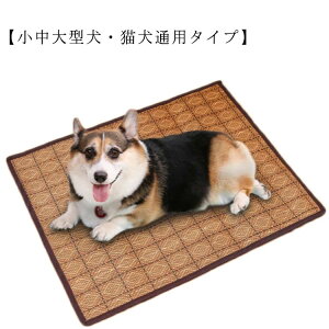 Lp ϊ 傫TCY ^ Lxbh S8TCY xbh }bg NbV  ybgxbh 50kg܂  p H t ^ ^ ybgpi g  Rbg _炩