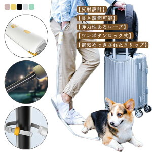 Lk[h  [hn[lX ^  ˑf Ԕ n[lX ʋC 95`160cm\ bN ^ U {^