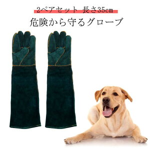 ybgO[u ݂    L O[u O[ ݂h~ ݂h~ 60cm  ^ v  ϔM ϋv L | h~