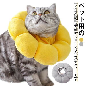 GUxXJ[ L  ybg \tg NbV h[ic^ ̕ی p D  PK 킢 Ђ܂ y lC ܐ؂ 畆a h~ ȒP  ̎q  ^ j̎q