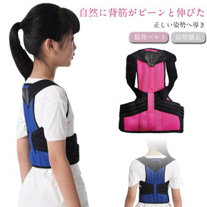 T|[^[ LbY ̎q Lwxg  qp w؋xg pxg pT|[^[ Lw v[g p␳ q  ʋCQ xg