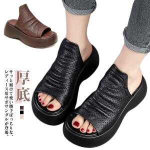  C RtH[gV[Y T{ r fB[X T{T_ d  NbV ItBX A[`T|[g EFbW V[Y wlC   GɗD Xbp