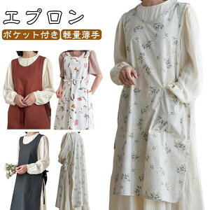 Gv fB[X `jbN s[X y GvhX KB hXGv Ԃ i` Ԃ邾  VɂȂȂ ԕ y 킢 k 