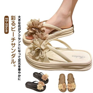 r r[`T_ rC t[`[t  T_ T_ t[  ԏ gOT_ ɂ uE ₷ w C y