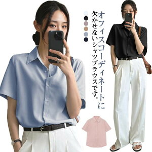 VcuEX VtH  VɂȂɂ 傫TCY  fB[X   CVc J uEX t  tH[} ݕt ꂢ Vc