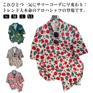 An {^jJ VA[Vc ԕ  Vc AnVc Vc Ò   jp uEX  Vc fB[X 킢 g HD