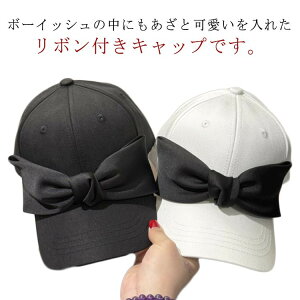 Lbv fB[X rbO{Lbv {t [ 傫 {LX Xq ڂ { n x[X{[Lbv Vv ł 悯 UVJbg