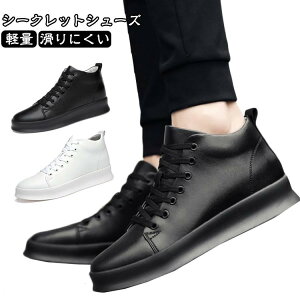 4cm 6cm 8cm 10cm V[NbgXj[J[ Cq[V[Y Y wȂ JWAV[Y gAbv Xj[J[ ₷ V[NbgV[Y nCJbg