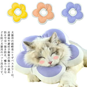 \tgGUxXJ[ ybgpi h  veN^[ _炩 ȒP \ 􂦂    K[h p  LY r h~  lR ObY qL ˂