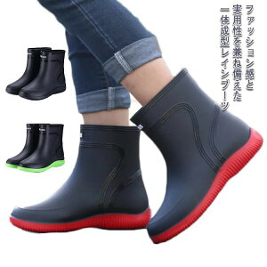 fB[XX CV[Y V[gu[c _ h Ɨp J Cu[c ~J ʋ | C ̐^ jp Y ɂ o[u[c JC h ₷ 