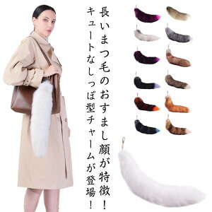 ӂӃe[ }`J[ ۃ`[ ANZT[ 50cm obO`[ e[ t@[Xgbv Lclt@[ y_g L[`F[ ˂̂