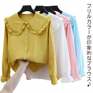 Vc uEX t ~ t C[h Vc fB[X  gbvX n s[^[p  tJ[ d˒  傫TCY JWA Vv