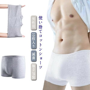 10 ĝ pc Sʕ {NT[pc  j Rbg gїp T COs Yf ȑf Ɩ Cws g  tBbglX Ci[rWlX V[c