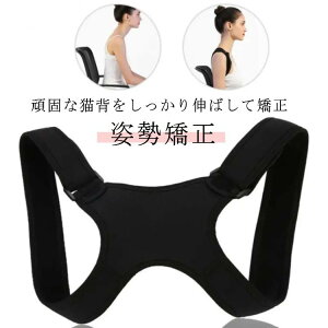 Lwxg p pxg Lw  p T|[^[ fB[X ˂w  j q w   ܂ Xg[glbN w ؃g w   P