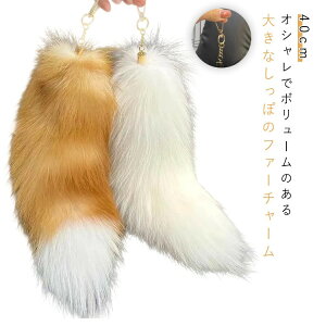 obO`[ t@[`[ 40cm K L[z_[  ANZT[ t@[Xgbv `[ y_g z nhobO \tgL[z_[