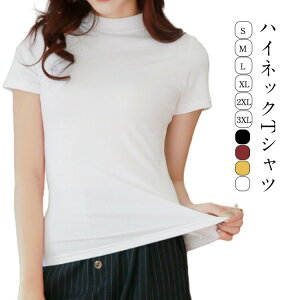 n Xgb`f nClbNtVc tBbg ^[glbN ܕ tVc  Jbg\[ _XgbvX  tBbglX A_[EFA Ci[