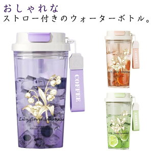 }C{g y ԕ Xg[t Xg[t NA{g 580ml e  {g EH[^[{g  ^ Mtg  yA v[g