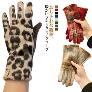 yzh   fB[X ĂԂ h O[u  킢  ~p h 5{w AEghA ʋ  a NX}X