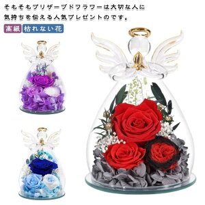 �y���������z�v���U�[�u�h�t�����[ ���� ������� ������ ���d�p ���~ �K���X�h�[�� �茳���{ �h�[�� �y�b�g �䋟 ������ �������A�� ���~ ���� ���b�Z�[�W �v���U�[�u�h �͂�Ȃ��� �� �G��