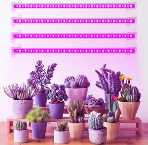 �y���������z�A���琬���C�g LED �^�C�}�[ �A���琬LED �ϗt�A���琬���C�g �����A���琬 �g�t���X�y�N�g�� USB�[�d�� 5�K�i���� ���z�� �ԂƐ� �����͔|���C�g ���k�͔|�����v �͔|�p�����v 