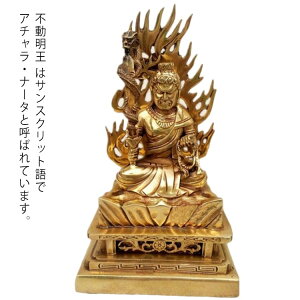 �y���������z�s������ �� �s�������� ���� ������ ����21cm×��12cm×���s8cm ���؂ȉΉ����w �l�p��Ή����w���� �^���@�e�� ���s���l ���d ��{�� ���� ����@���̉��g ���s������