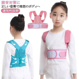 �y���������z������ �L�w �L�b�Y �p�������x���g �p���␳ �ʋC�����Q �q���p �p�������T�|�[�^�[ �L�w�����x���g �x���g �q�� �T�|�[�^�[ �␳ ��l �䂪�� ���� �w�� �w�؋����x���g ���P 