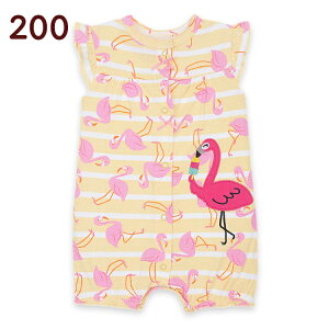 y}\10%OFF!zp[X ̎q xr[ Jo[I[ LbY q V Ԃ c xr[  Rbg OJ O{^ { t  킢 ʉ oYj 60 7