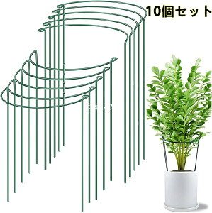 Ax 10Zbg |x ϗtx |p AT|[g ~`25cmx40cm Ԃ 鐫A K[fjOpx ϏܐAp/ؗp/|p/_Ɨp