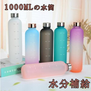  1L EH[^[{g ^C}[J[&Xg[t X|[c{g X`bN{g lp i lC Rh~ t[ EH[^[WOڐt}O{g  1bg 