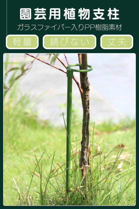 楽天市場】6本セット 植物支柱 花ささえ 園芸支柱 つる性植物 観葉支柱 