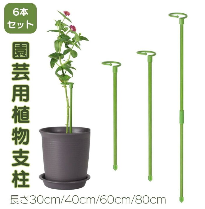 楽天市場】6本セット 植物支柱 花ささえ 園芸支柱 つる性植物 観葉支柱 
