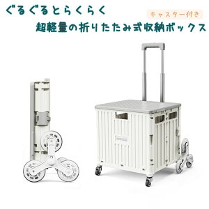 [{bNX ܂肽 LX^t e 45L 65L  nht vX`bN Rei{bNX [P[X iK y Lv AEghA ӂt      