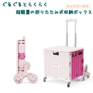 [{bNX ܂肽 LX^t e 45L 65L  nht vX`bN Rei{bNX [P[X iK y Lv AEghA ӂt      