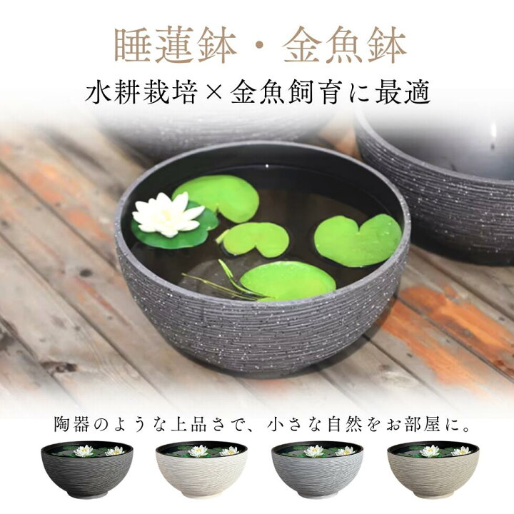 楽天市場】睡蓮鉢 プラスチック 大型 外径35～45cm 容量9～19L丸鉢 