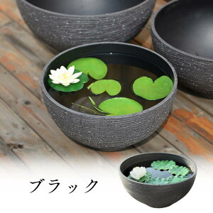 ���@�� �v���X�`�b�N ��^ �O�a35�`45cm �e��9�`19L�۔� �r�I�g�[�v�X�C������ ���_�J�� ���� ���@�� �m�� ������ ������� �A�ؔ� �k�� ���_�� ������ �y�� �y�� ����ɂ��� ��� ���@�\ ���@��