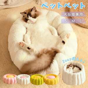 ybgxbh NbV L pxbh Lpxbh 2WAYg  ӂӂ H ~ ʔN I[V[Y g @΍ ~ߕt łjȂ 􂦂 ې y