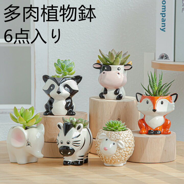植木鉢 多肉植物鉢 サボテン鉢 小型 2号鉢 可愛い動物 かわいい 竹製受け皿付き 底穴付き ミニ植物適用 6点入りインテリア オフィス 部屋飾り ガーデニング Sukizuki かわいい動物の形をした陶磁器の植木鉢の多肉植物の植木鉢 Adherashoes Com