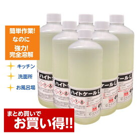 6本セット 配管洗浄剤 業務用 ハイトケールL 1リットル キッチン シンク 洗面所 お風呂 排水口 掃除 配管 パイプ 洗面所 髪 溶かす 強力 流し 洗浄 詰まり 解消