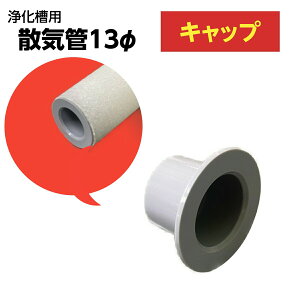 򉻑 UC 13 Lbv P  UC DO GA u C ΂C  