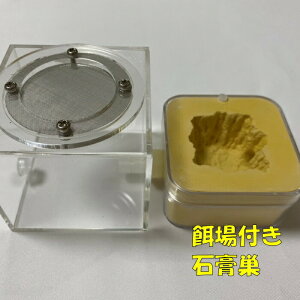 昆虫飼育用品 アリの巣 観察の人気商品 通販 価格比較 価格 Com