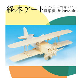 【8/15限定！ポイント5倍実施中！】工作キット 経木アートシリーズ 複葉機 夏休み 宿題 工作 課題 自由研究 小学校 子供会 高学年 小学生 作品 提出