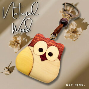 y11/1I|Cg5{{Izy̋Z 񂹖 ׍H ӂ낤L[z_[z L[z_[ `[  VR C  ӂ낤 F 킢 q l  K v