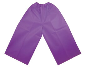 衣装ヘ゛ース C ス゛ホ゛ン 紫