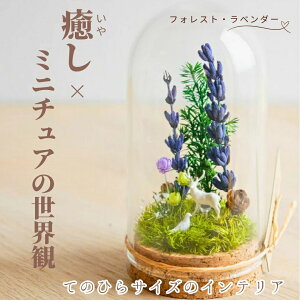 y11/15I|Cg5{{IzyĂ̂ЂTCY̖CeAz v`ẴE tHXgx_[`VJƃng [50mm] svU[uhۃeEt vU[uh  `h