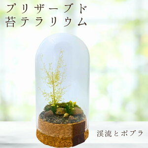 yeiXsvȃRPEz kƃ|v RPE `h[ { vU[uh  eE i  Ϗܗp CeA G ۃE 肤 a v[g