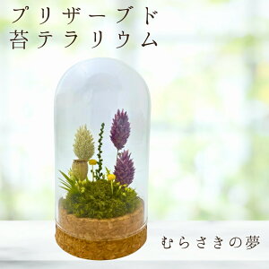 yeiXsvȃRPEz ނ炳̖ RPE `h[ { vU[uh  eE i  Ϗܗp CeA G ۃE 肤 a v[g