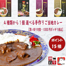 【1000円ポッキリ！ポイント15倍！】【初回お試し！選べる手作りご当地カレー】 レトルトカレー ギフト ランキング 人気 カレーセット ご当地 カレー 詰め合わせ 高級カレー レトルトカレー 1000円 常温保存食品 カレーレトルト 買い回り レンジ対応