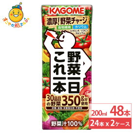 カゴメ 野菜一日これ一本 200ml 24本×2ケース (48本) 無添加 野菜ジュース 一日分の野菜 食物繊維 リコピン 健康 紙パック まとめ買い