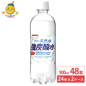 日本サンガリア 伊賀の天然水 強炭酸水 500ml 24本×2ケース (48本) ペットボトル 炭酸 炭酸水 飲料 ドリンク