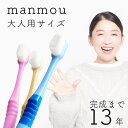 歯ブラシ やわらかめ ナノ歯ブラシ 高級歯ブラシ 万毛 歯茎 マッサージ 歯周病ケア はぶらし 除菌抗菌 熊野筆のような歯ブラシ 超極細毛ブラシ 日本製 2万本極細毛歯ブラシプラチナナノ manmou 1本